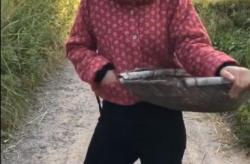 簸箕小姐姐,揭秘民间传说中的神秘女子