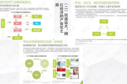 网红计划方案,打造爆款内容，引领潮流风向标